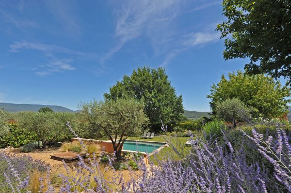 19th century house with swimming pool and independent studio near Roussillon