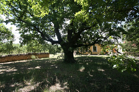 Vente Maison d'environ 180 m² de surface utile en vente en Luberon